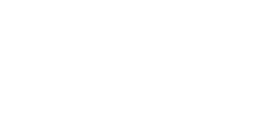 SYNEXIS GROUP